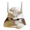 Cats in hats 8