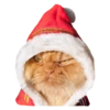 Cats in hats 10