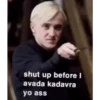 Harry Potter 7
