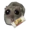 sad hamster by weekkoi 11
