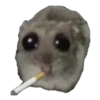 sad hamster by weekkoi 13