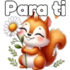 Para ti cokki