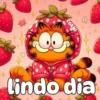 cokki Lindo dia