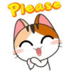 Japanese Kitty 7