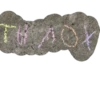 HOYTEYKBDH_by_stikers_du_ark_bot 10