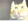 aaaaaaaaaaaaaaaaaaaaaaaaaaaaaaaa 13