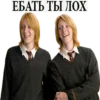 Harry Potter Stickers 11
