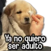 De todo un Poco #6 👻 9