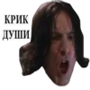 Harry Potter Stickers 12