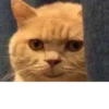 aaaaaaaaaaaaaaaaaaaaaaaaaaaaaaaa 15