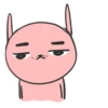 hand bunny 11