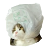 Cats in hats 14