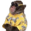 Monitos para reaccionar 🐵🐒🙈 7
