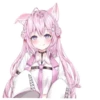 Hakui KOyOri (hololive) 12