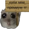 sad hamster by weekkoi 16