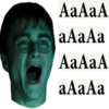 Harry Potter Stickers 18