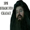 Harry Potter Stickers 19