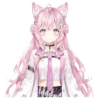 Hakui KOyOri (hololive) 14