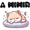 A MIMIR C cokki