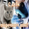 Postcards from whatsapp 6
