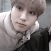 Han Jisung:; 🦤 by 13