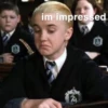 Harry Potter 15