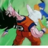 Dragon ball gay edition 20
