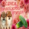 Postcards from whatsapp 8