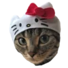 Cats in hats 20