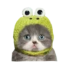 Cats in hats 21