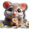 alexa