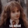 Harry Potter 19
