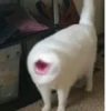 aaaaaaaaaaaaaaaaaaaaaaaaaaaaaaaa 21