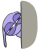 hand bunny 15