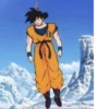 Dragon ball gay edition 22