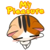 Japanese Kitty 17