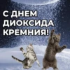 Postcards from whatsapp 14