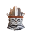 Cats in hats 24