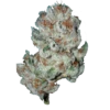 Ganja friend 21