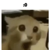 jaj 21