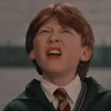 Harry Potter 22