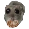 sad hamster by weekkoi 22