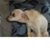 aaaaaaaaaaaaaaaaaaaaaaaaaaaaaaaa 23