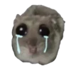 sad hamster by weekkoi 23
