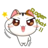 Japanese Kitty 20