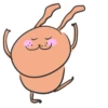hand bunny 19