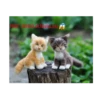 Happy cats 12