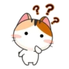 Japanese Kitty 24