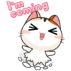 Japanese Kitty 25