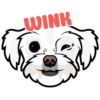 Winnie 5